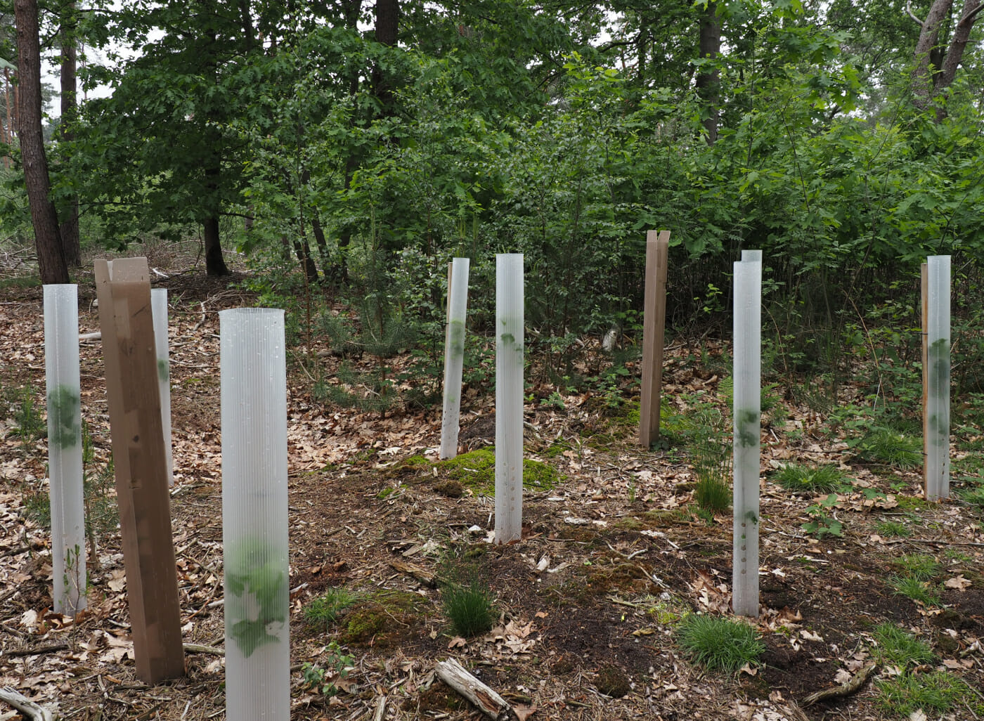 Week 13-2022 | Dagboek Uit Het Bos | Harrie Baken